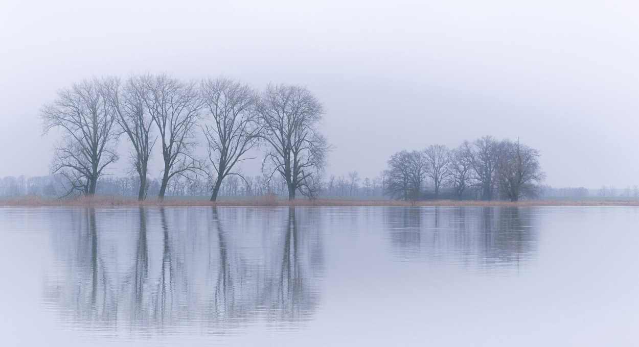 reflection